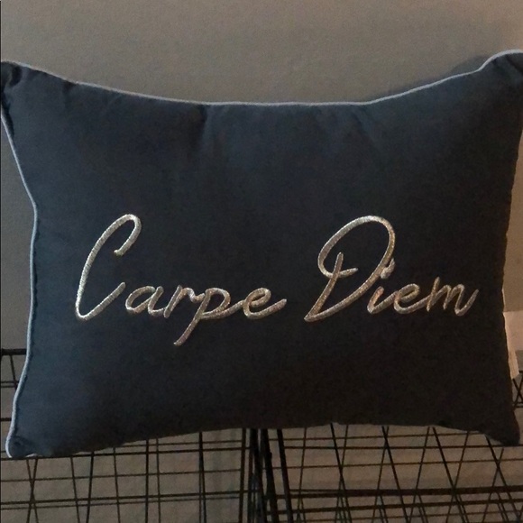 Other - Carpe Diem throw pillow Other - Carpe Diem throw pillow